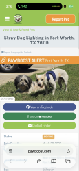 Lost Male Dog last seen Southcrest Dr, Fort Worth, TX 76115