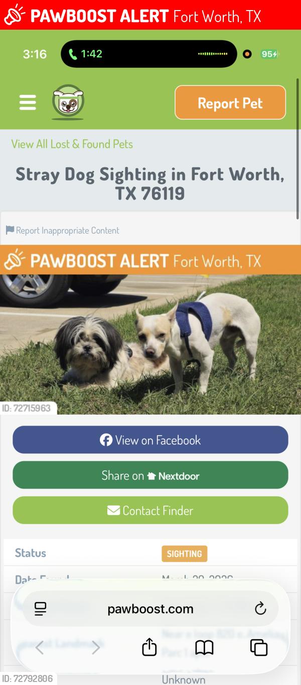 Lost Male Dog last seen Southcrest Dr, Fort Worth, TX 76115