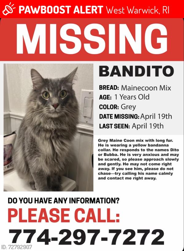 Lost Male Cat last seen Near Old Carriage Rd., West Warwick, RI 02893