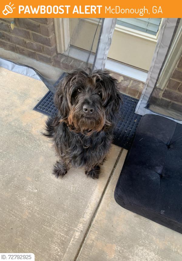 Found/Stray Male Dog last seen Magnaview Dr, McDonough, GA 30253