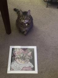 Lost Female Cat last seen Longbranch, Liverpool, NY 13090