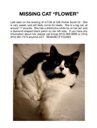 Lost Female Cat last seen Wilmington Island , Savannah, GA 31410