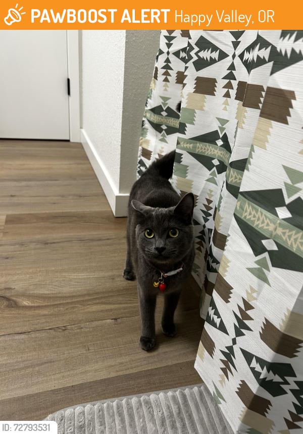 Found/Stray Female Cat last seen Winco, Happy Valley, OR 97086