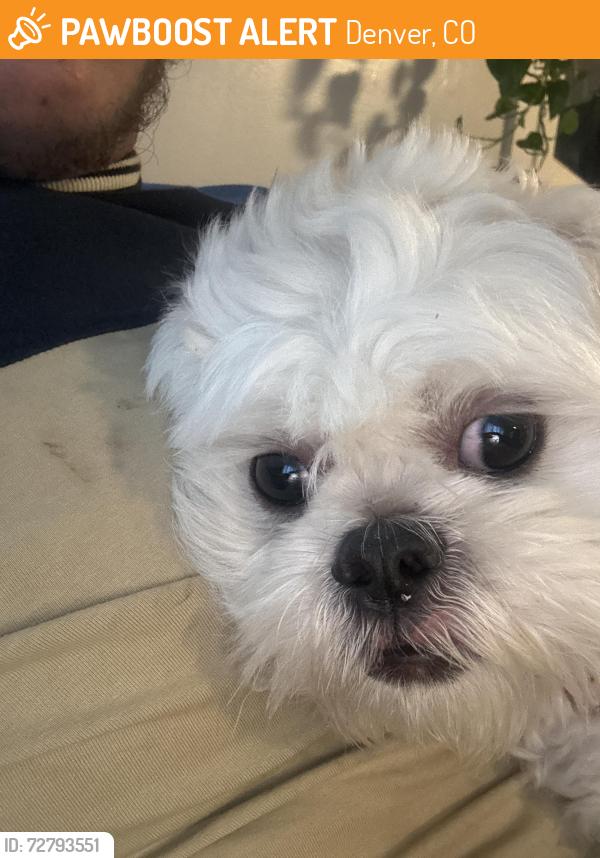 Found/Stray Male Dog last seen Near Broadway Denver 80221, Denver, CO 80221