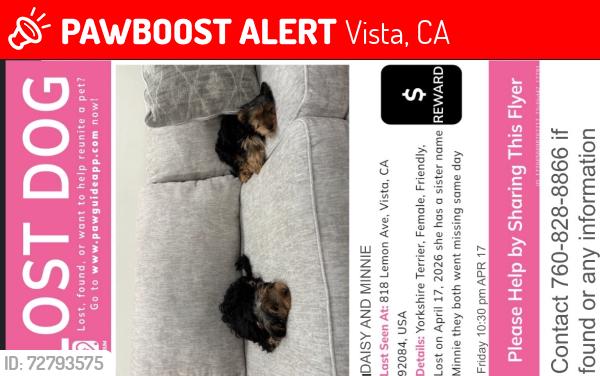Lost Female Dog last seen Near lemon Ave , Vista, CA 92084