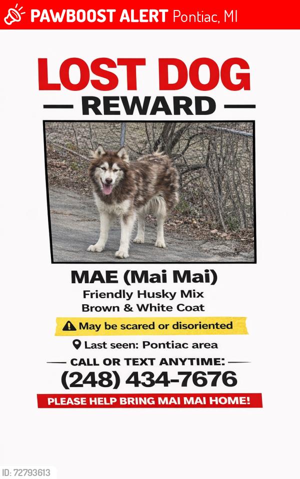 Lost Female Dog last seen Baldwin, Pontiac, MI 48342