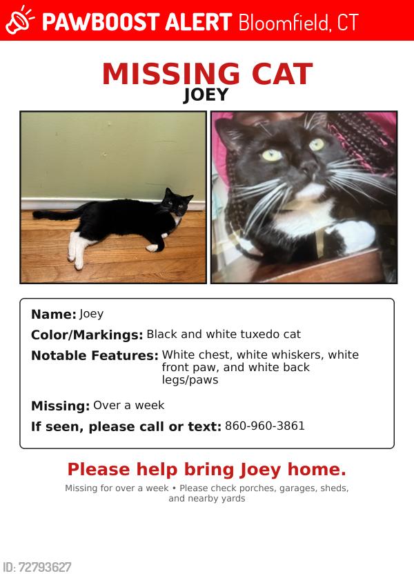 Lost Male Cat last seen Wintonbury Church, Bloomfield, Bloomfield, CT 06002