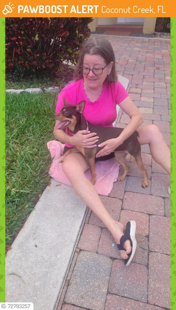 Found/Stray Female Dog last seen Windmill park, Coconut Creek, FL 33063