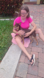 Found/Stray Female Dog last seen Windmill park, Coconut Creek, FL 33063