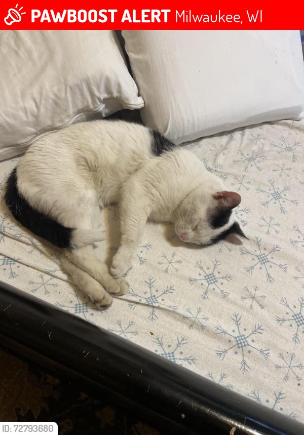 Lost Male Cat last seen Near Th and windlake av, Milwaukee, WI 53215