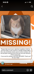 Lost Male Cat last seen Smith rd, West Chester Township, OH 45069