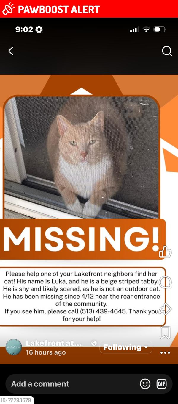 Lost Male Cat last seen Smith rd, West Chester Township, OH 45069