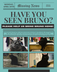 Lost Male Cat last seen Near Coyner ave, Indianapolis, IN 46201