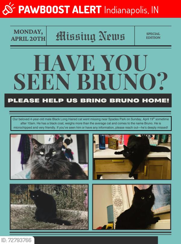 Lost Male Cat last seen Near Coyner ave, Indianapolis, IN 46201