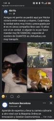 Lost Male Dog last seen Entre naranjo y níspero se fue dirección hacia el yaqui, Ciudad de México, CDMX 05200