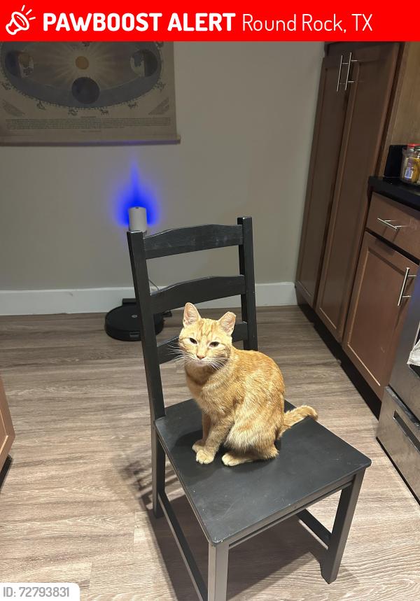 Lost Male Cat last seen Hawk view , Round Rock, TX 78665