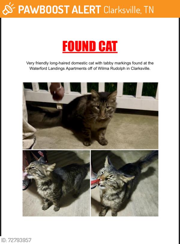 Found/Stray Female Cat last seen Waterford Landings apmts , Clarksville, TN 37040