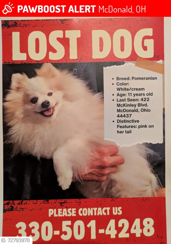 Lost Female Dog last seen Down the road from the police station, McDonald, OH 44437