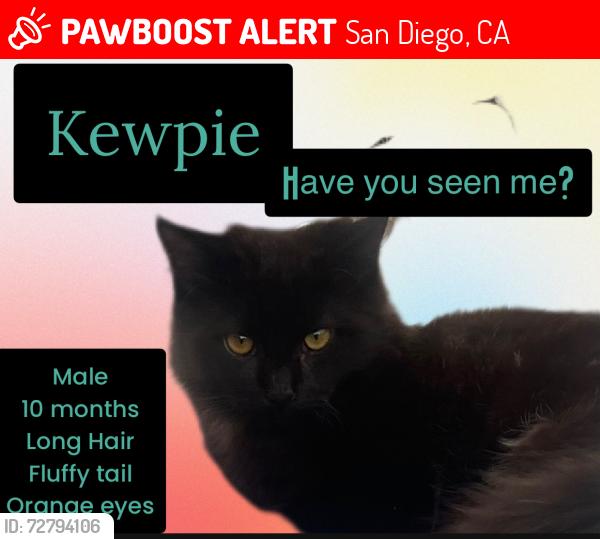 Lost Male Cat last seen Geneva & Derby, San Diego, CA 92114