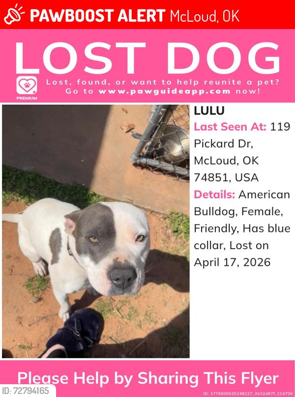 Lost Female Dog last seen Fishmarket , McLoud, OK 74851
