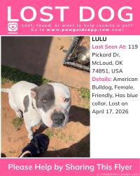 Lost Female Dog last seen Fishmarket , McLoud, OK 74851