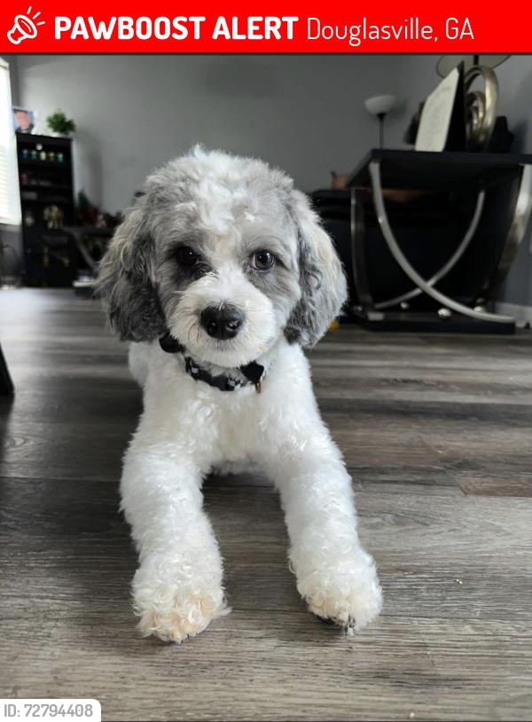 Lost Male Dog last seen The Retreat of Anneewakee or nearby, Douglasville, GA 30135