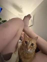 Lost Female Cat last seen Near Kilpatrick ave CAMP BOWIE, Fort Worth, TX 76107