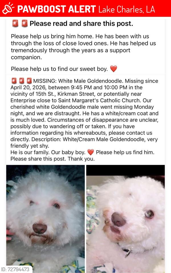Lost Male Dog last seen 15th St in lake Charles la 70601, Lake Charles, LA 70601