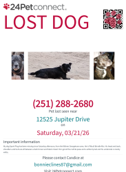 Lost Male Dog last seen Danner Rd n orbit, Wilmer, AL 36587