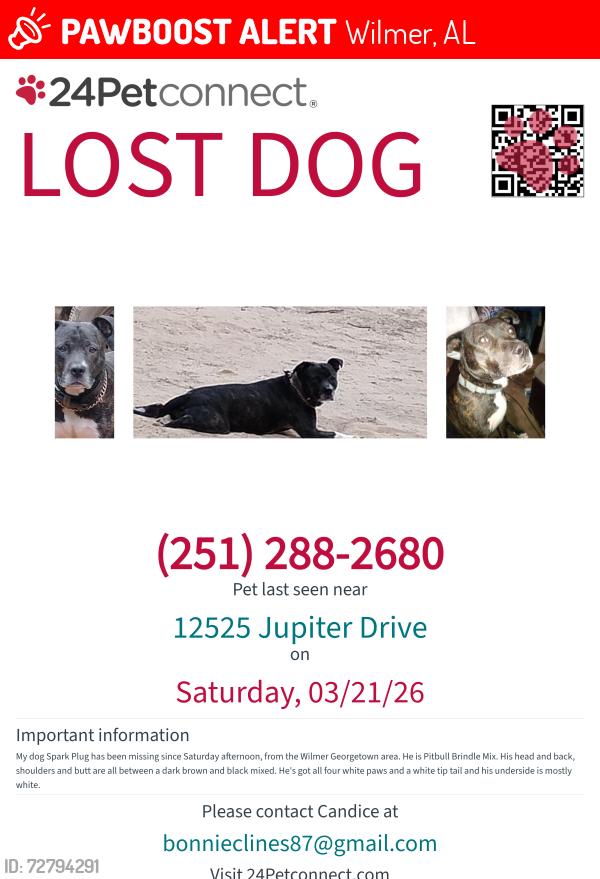 Lost Male Dog last seen Danner Rd n orbit, Wilmer, AL 36587