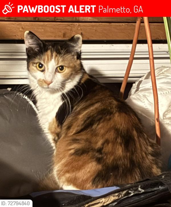 Lost Female Cat last seen Intersection Hwy 29 and Tommy LeeCook Rd., Palmetto, GA 30268