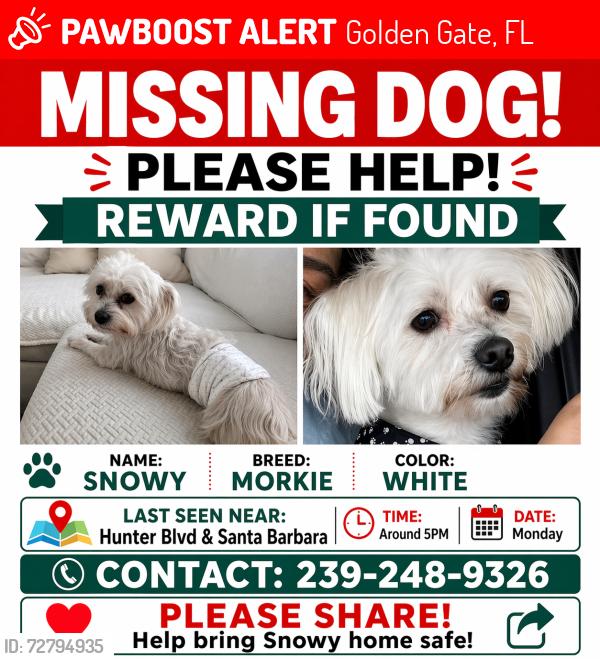 Lost Male Dog last seen 52nd Terr SW & 21st PL SW Naples FL, Golden Gate, FL 34116