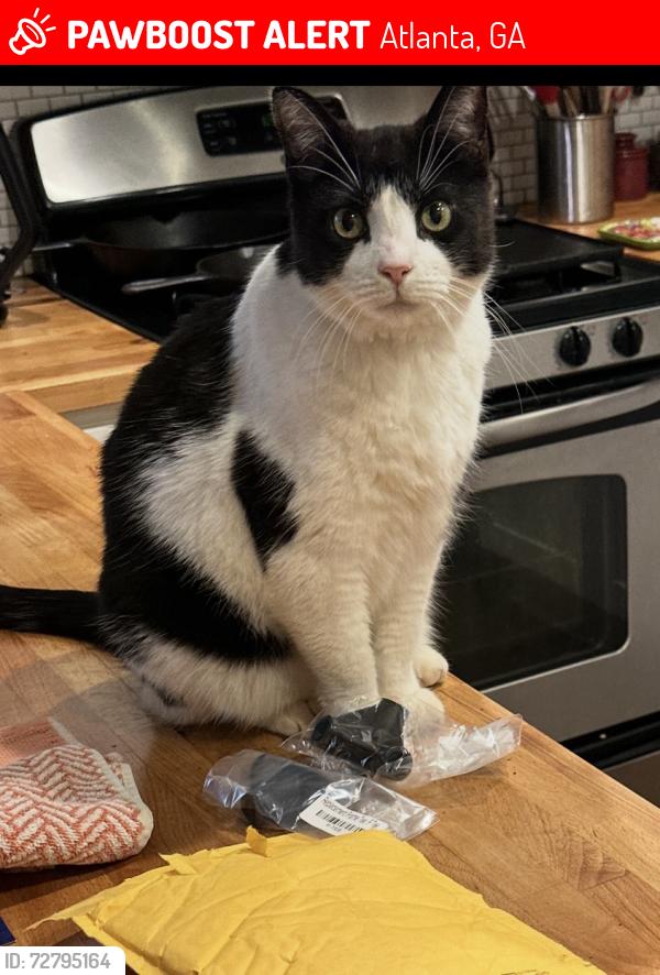 Lost Male Cat last seen Warren St and Bixby, Atlanta, GA 30317