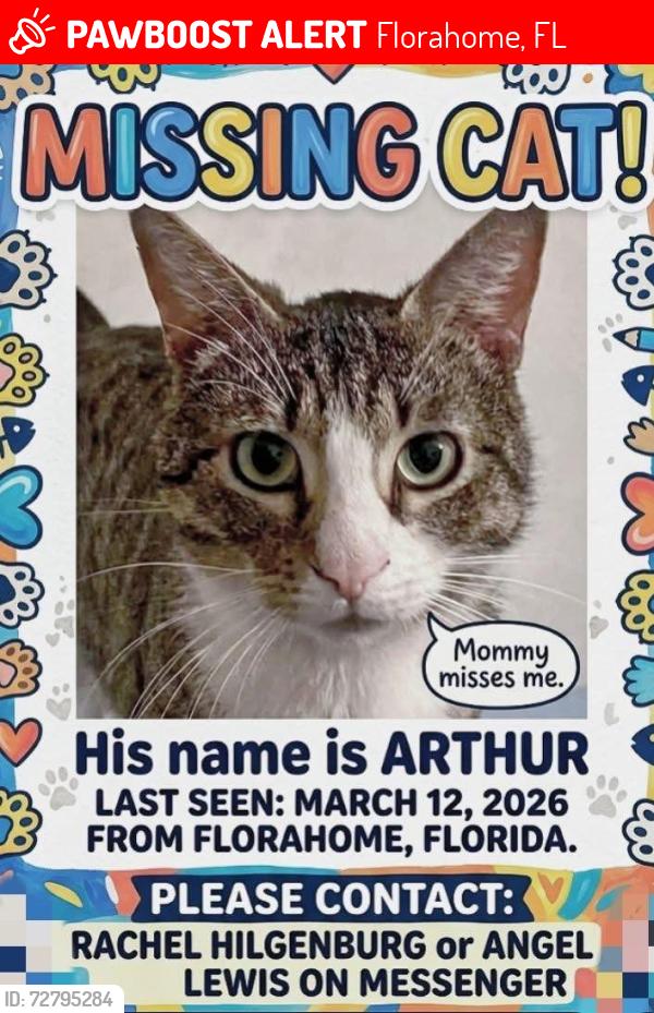 Lost Male Cat last seen Coral Farms Rd and Brock, Florahome, FL 32140