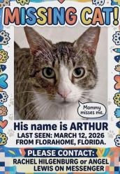 Lost Male Cat last seen Coral Farms Rd and Brock, Florahome, FL 32140