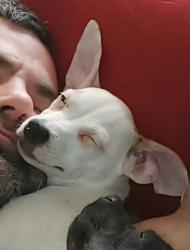 Lost Female Dog last seen West broad st, Columbus, OH 43228