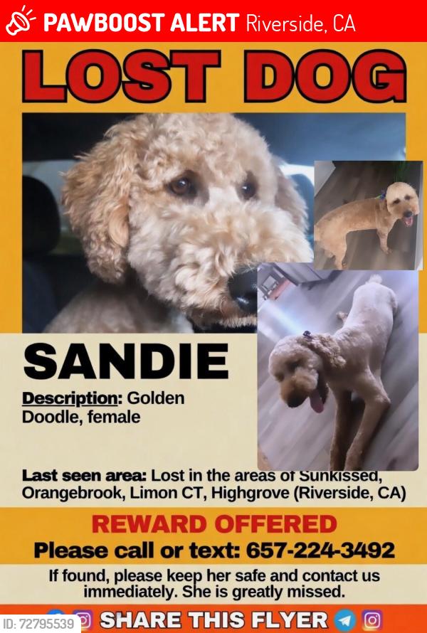 Lost Female Dog last seen Orange cove , Riverside, CA 92507