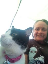 Lost Female Cat last seen Berry park, Lemon Grove, CA 91945