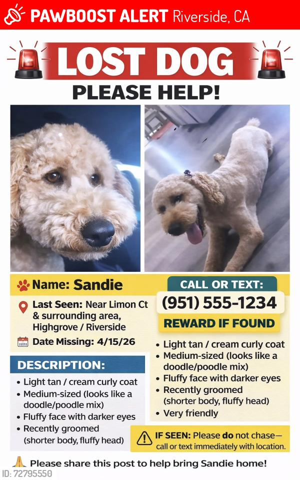 Lost Female Dog last seen Orangebrook ct , Riverside, CA 92507
