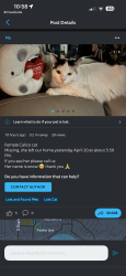 Lost Female Cat last seen Foothill and Orange Knoll Dr, North Tustin, CA 92705