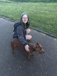 Found/Stray Female Dog last seen In Hanley Park, near college road and avenue road roundabout, Stoke-on-Trent, England 