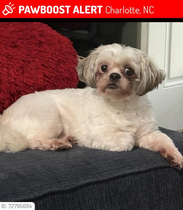Lost Female Dog last seen Barrington drive , Charlotte, NC 28215
