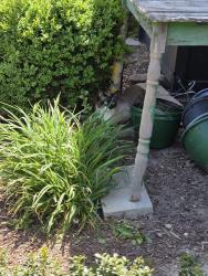 Found/Stray Unknown Cat last seen Shano, Hendersonville, NC 28791