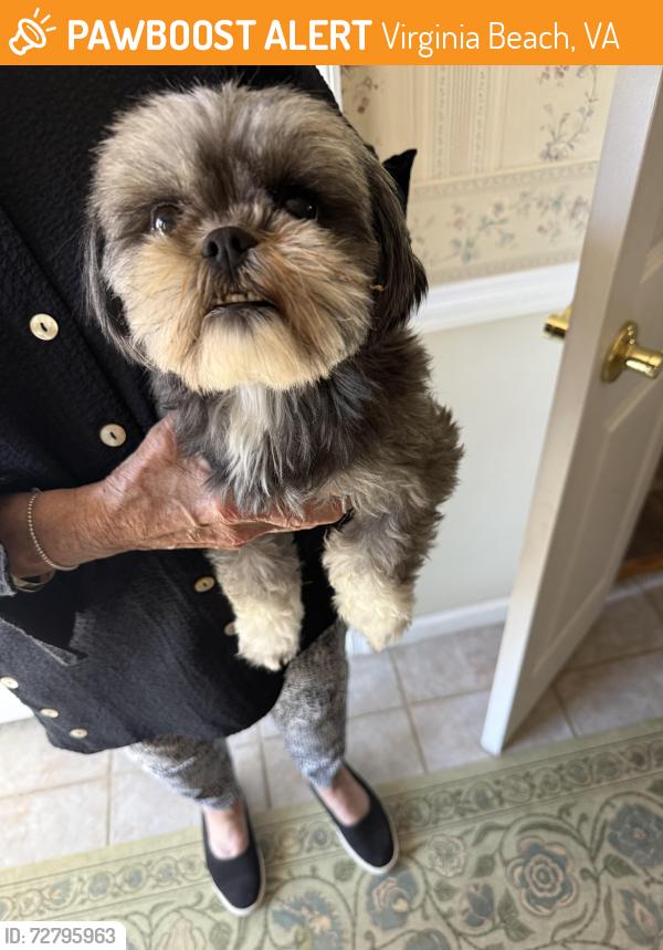 Found/Stray Female Dog last seen Minden rd and Timber Creek Pl, Virginia Beach, VA 23464