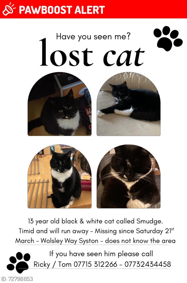 Lost Male Cat last seen Syston, Leicestershire, England LE7