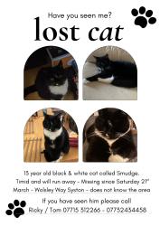 Lost Male Cat last seen Syston, Leicestershire, England LE7