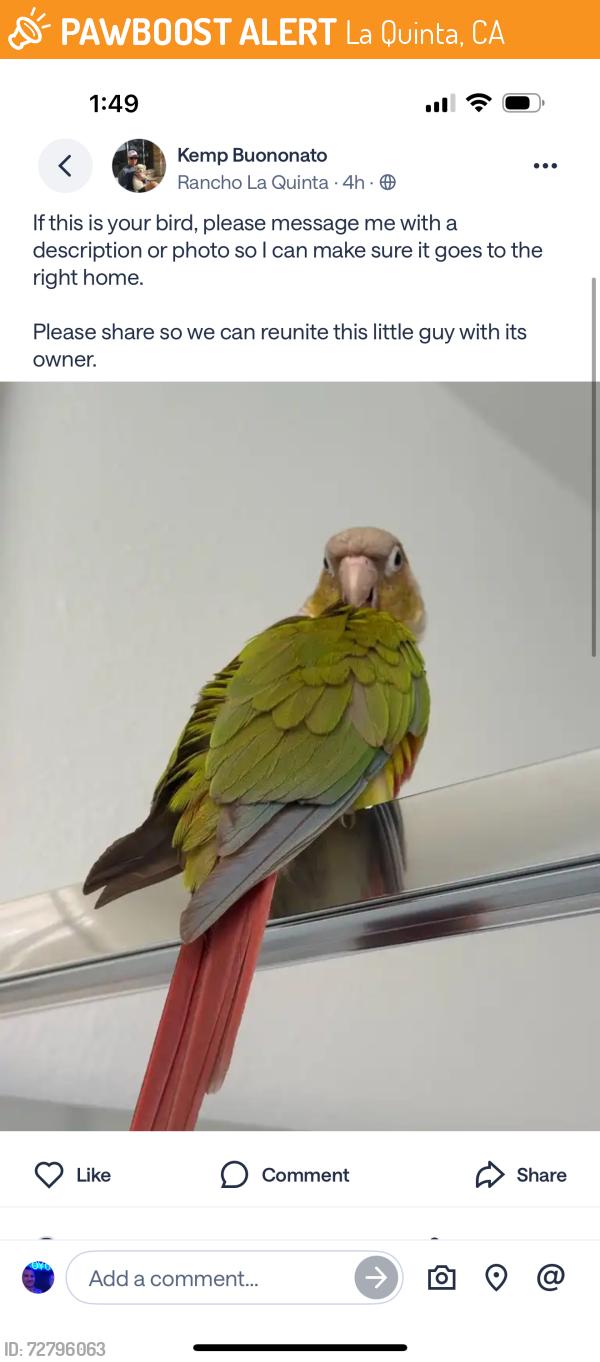 Found/Stray Unknown Other last seen Delete this please, La Quinta, CA 92253