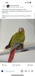 Found/Stray Unknown Other last seen Delete this please, La Quinta, CA 92253