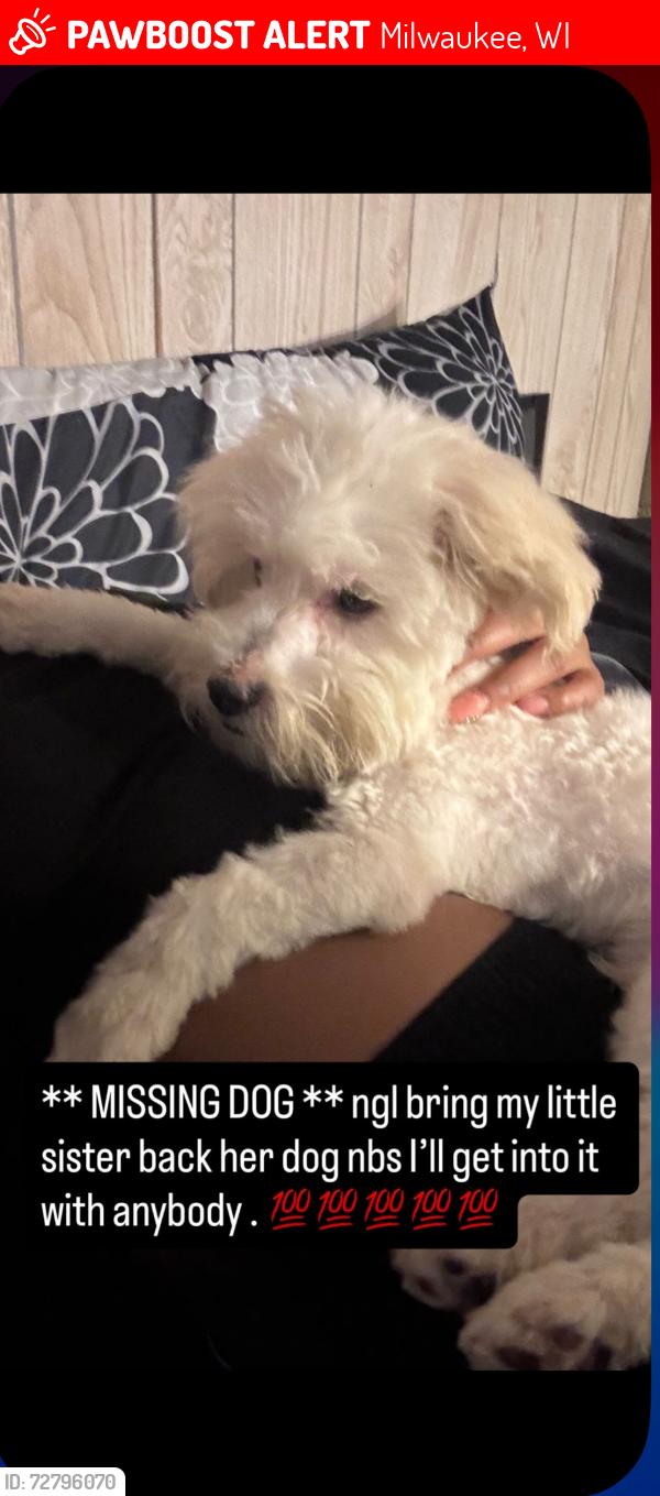 Lost Male Dog last seen Parkway and 49th off of Hampton, Milwaukee, WI 53209