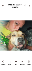 Lost Female Dog last seen Bougainvillea and Florida avenue, Tampa, FL 33612